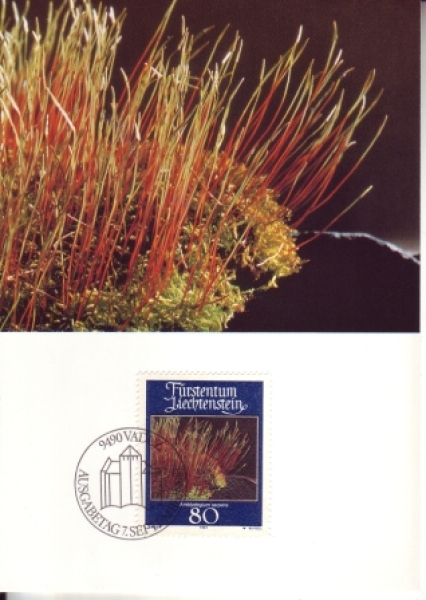 FL 0776 / 0779 MC ● - 1981